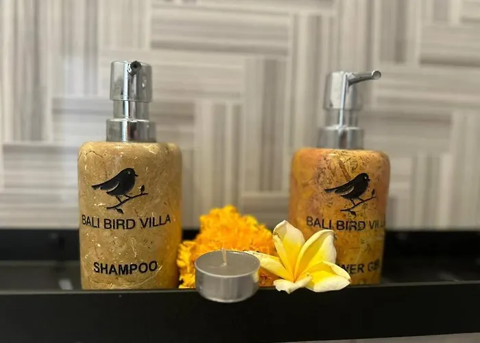 Bali Bird Umalas Villa Canggu (Bali)